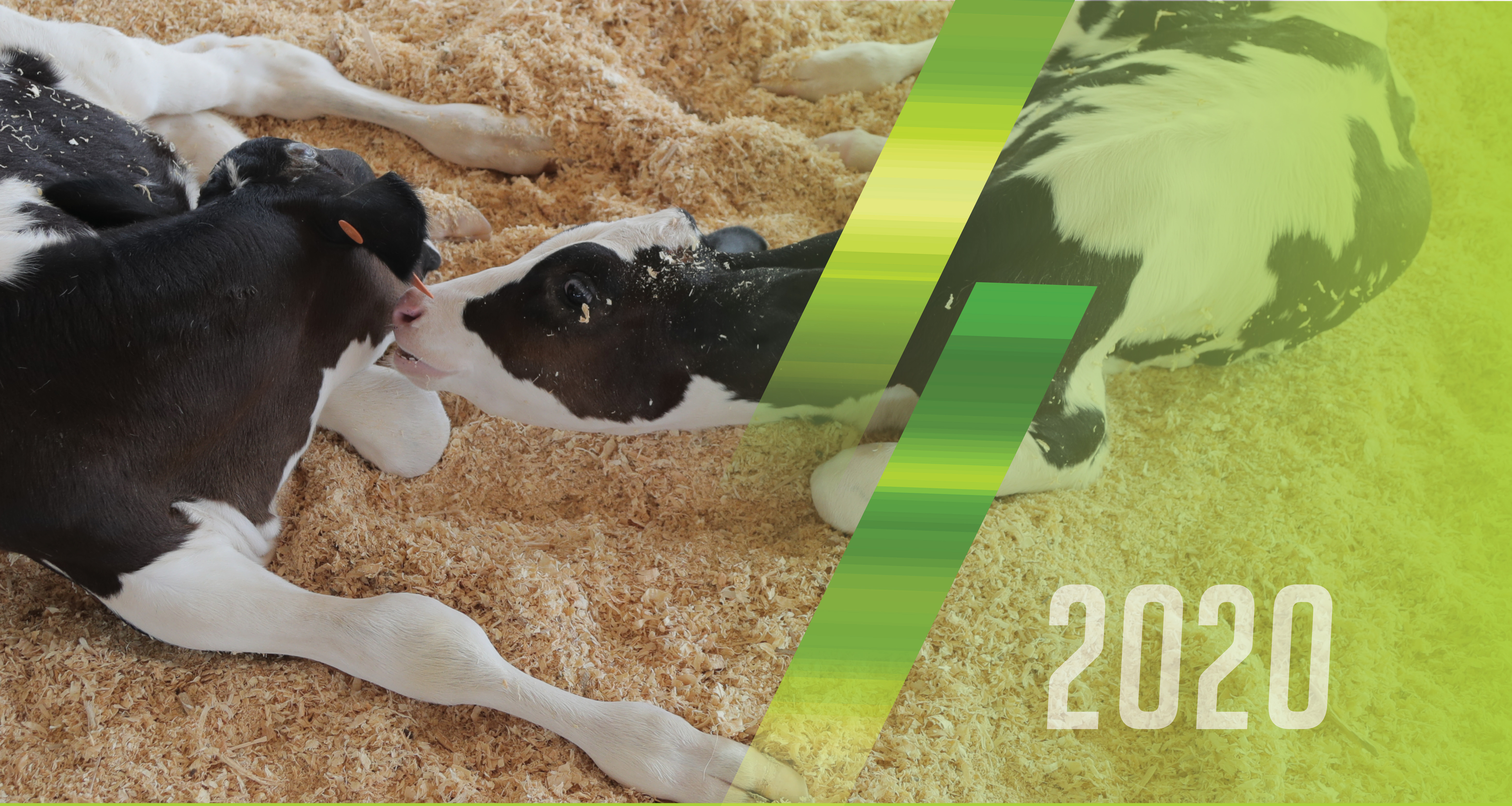 Sunbelt Ag Expo in Moultrie, North America’s Premier Farm Show®