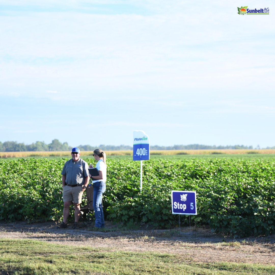 Field Day Feature Corteva Agriscience Phytogen Cotton Seed Sunbelt Ag Expo