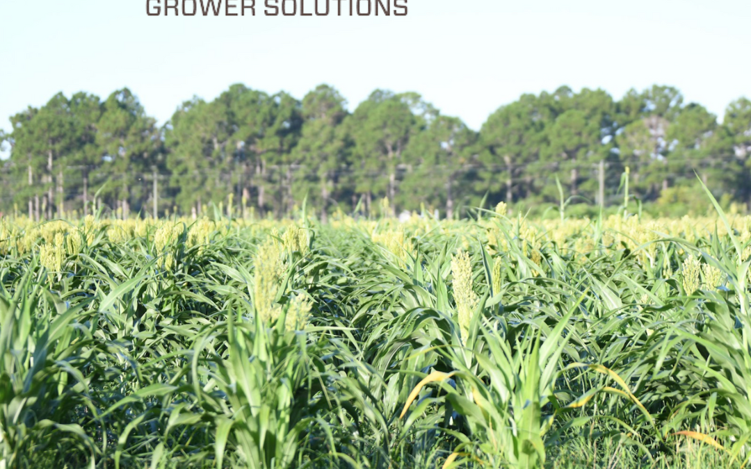 Field Day Highlight: Simplot Grower Solutions