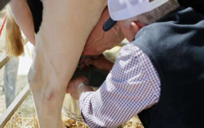 Sunbelt Ag Expo showcases Dairy
