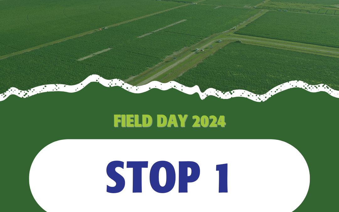 2024 Field Days: Stop 1 – UGA Weed Science – Culpepper