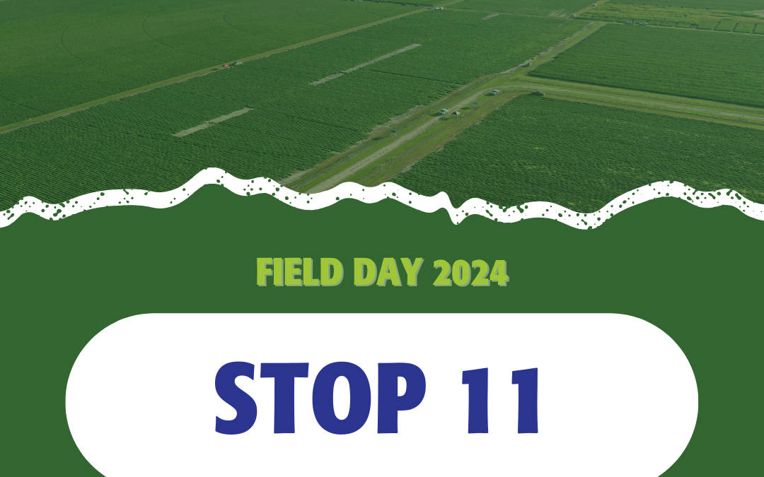 2024 Field Days: Stop 11 – Dyna-Gro