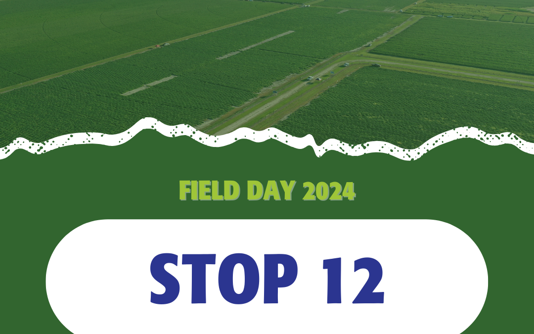 2024 Field Days: Stop 12 – DeltaPine