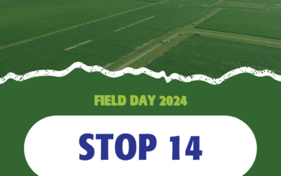 2024 Field Days: Stop 14 – Americot, Inc.