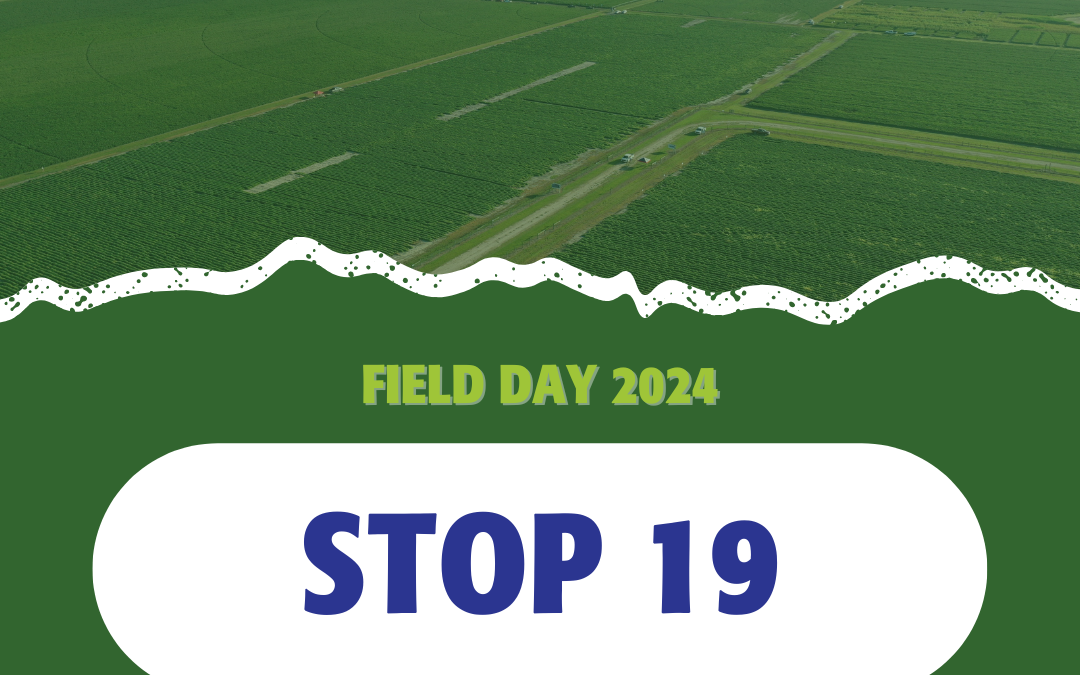 2024 Field Days: Stop 19 – Simplot