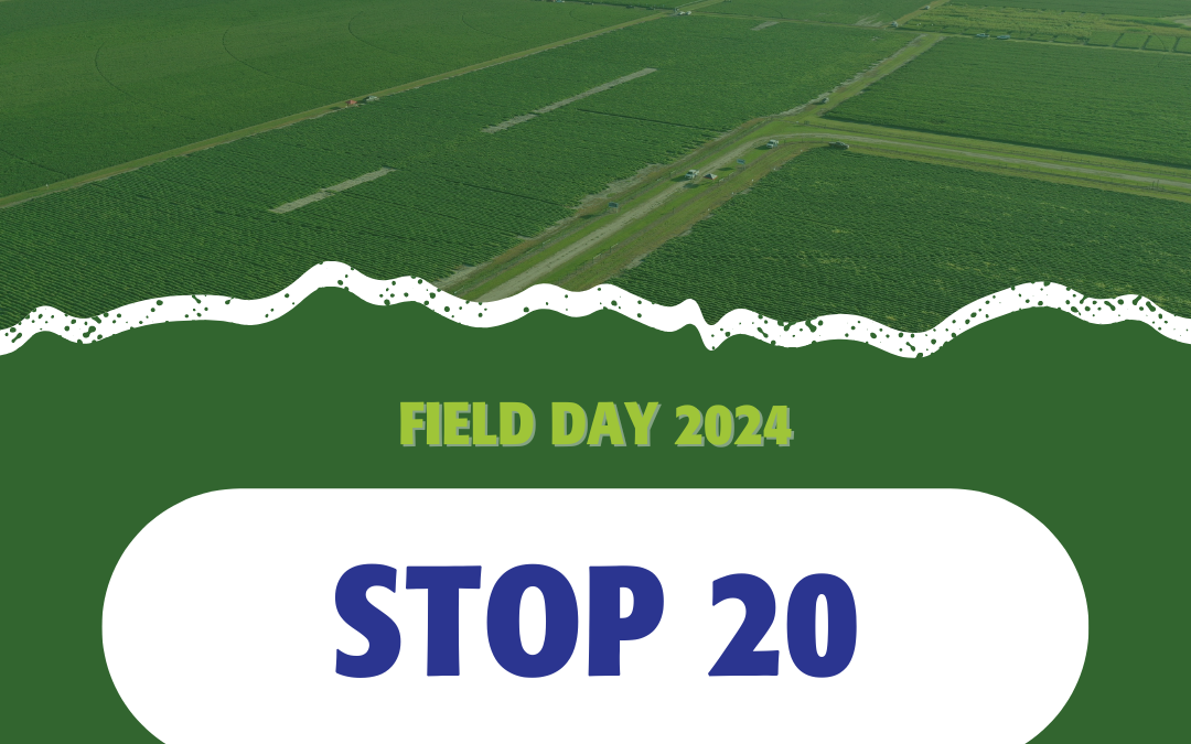 2024 Field Days: Stop 20 – Forquimica