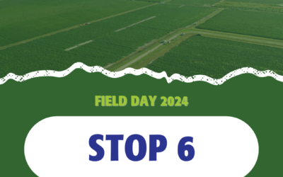 2024 Field Days: Stop 6 – R.W. Griffin
