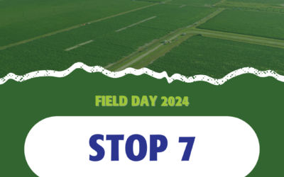 2024 Field Days: Stop 7 – Helena
