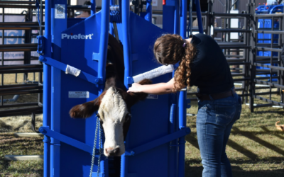 Classroom Education – the Cowboy Way