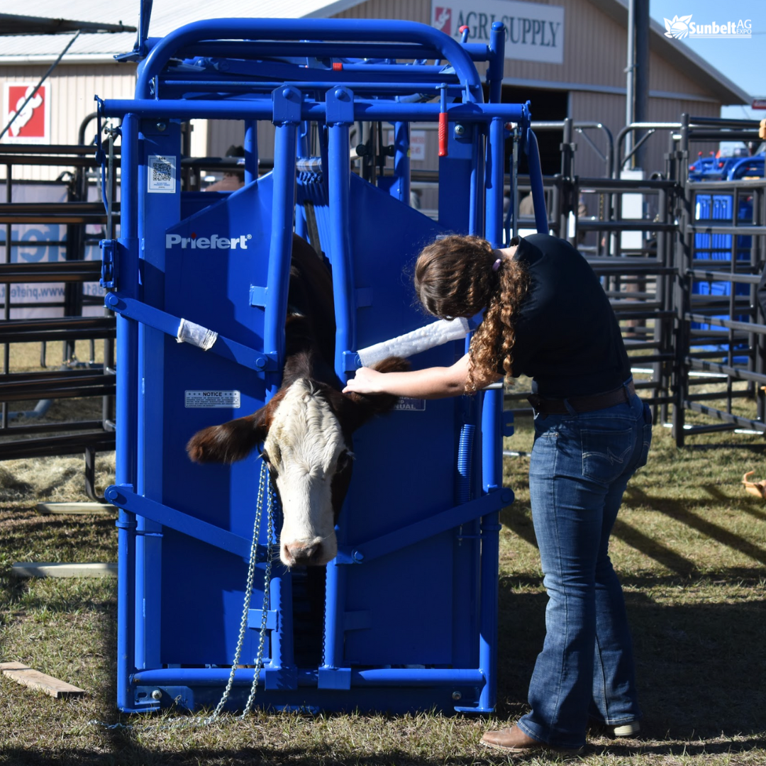 Beef Pavilion 2024 Sunbelt Ag Expo