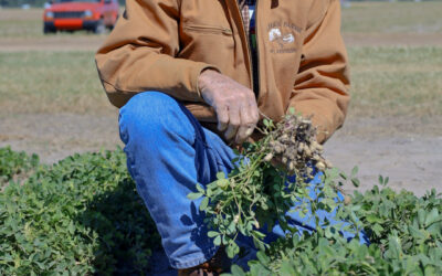 Long-Standing Traditions at the Sunbelt Ag Expo