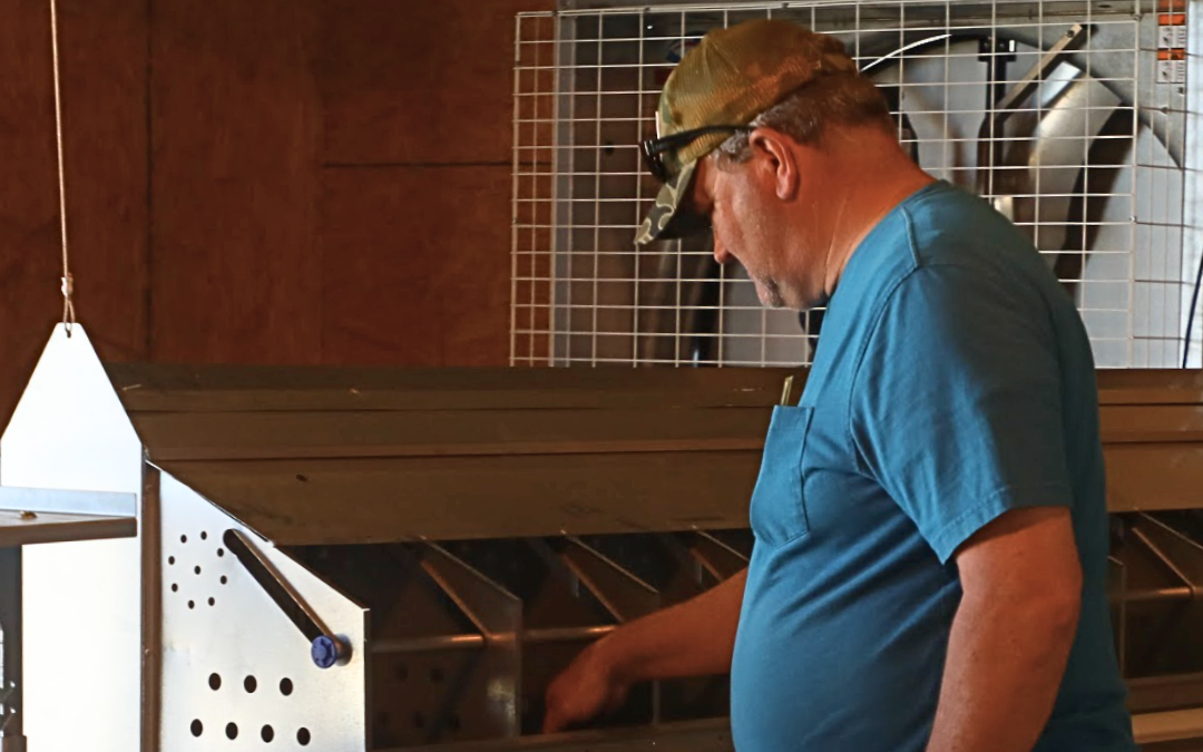 Navigating the Dynamic World of Poultry Production