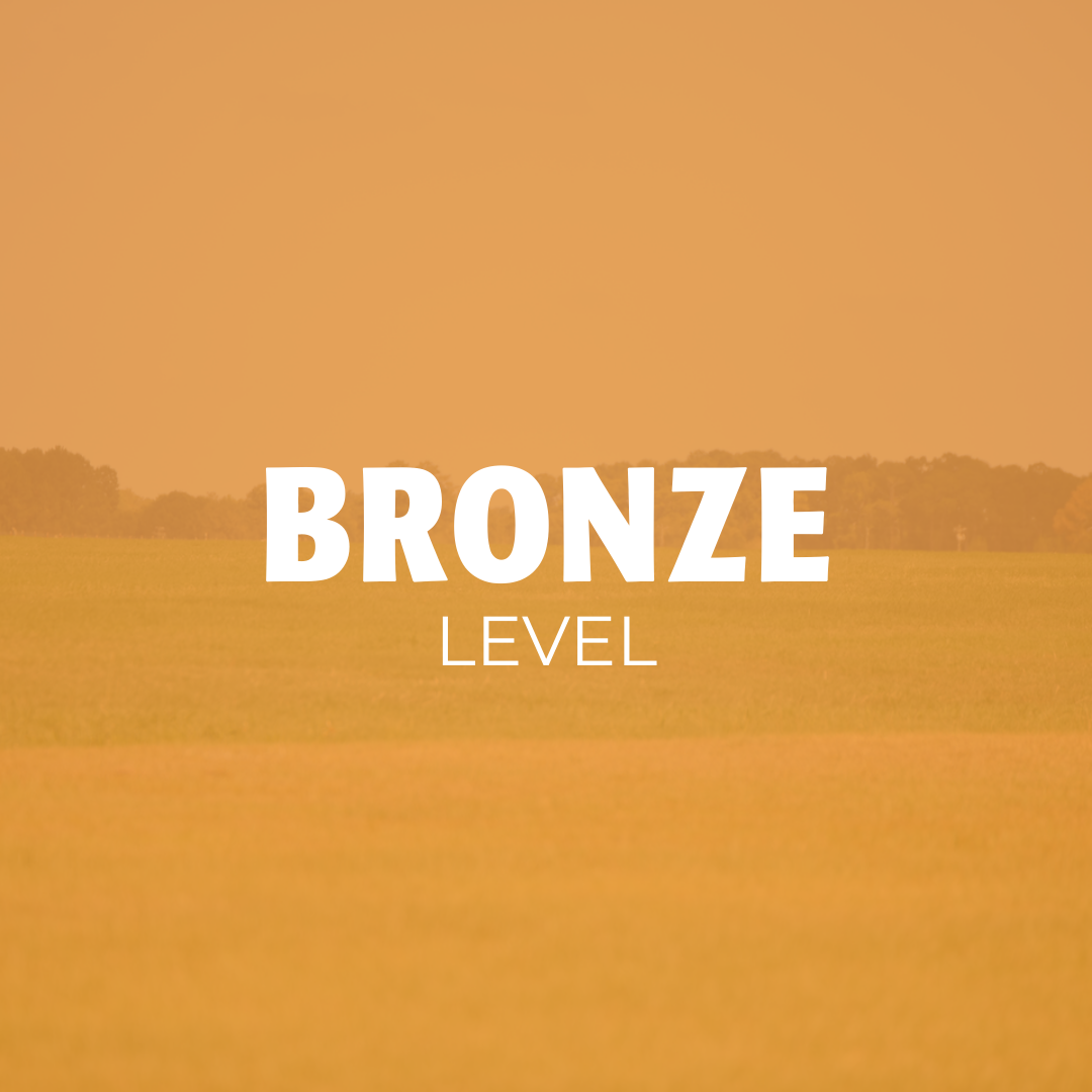 BRONZE