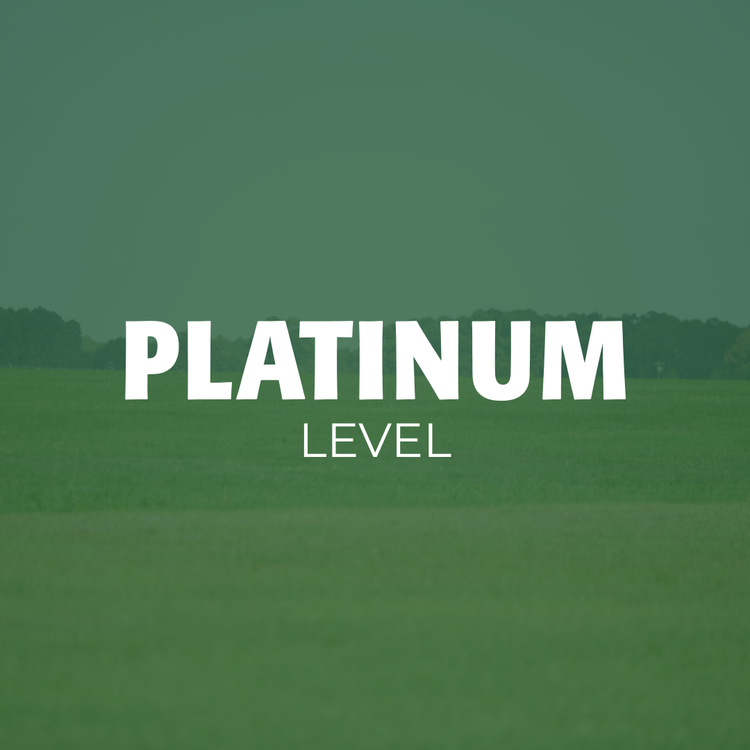 Platinum