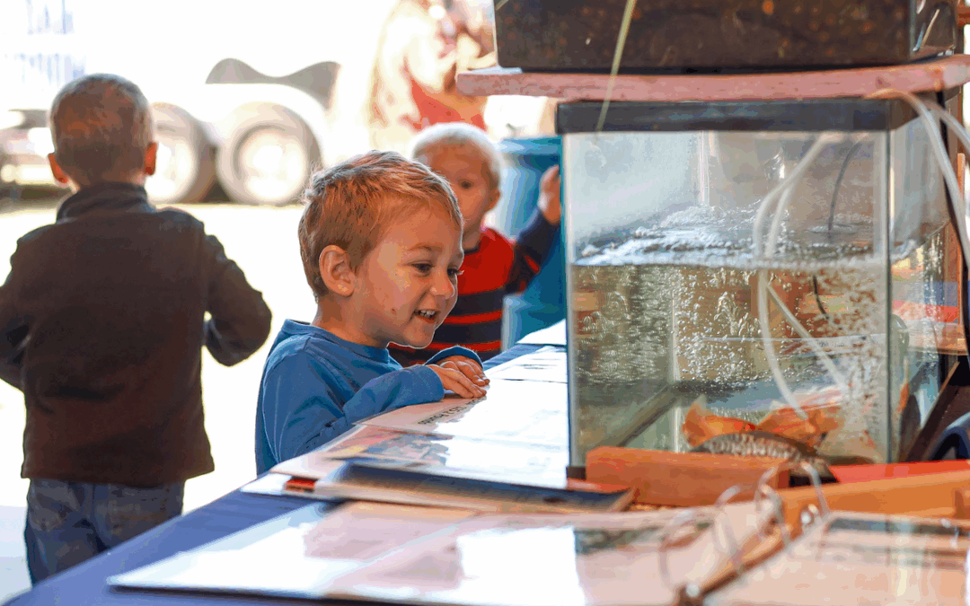 From Pond to Plate: Aquaculture