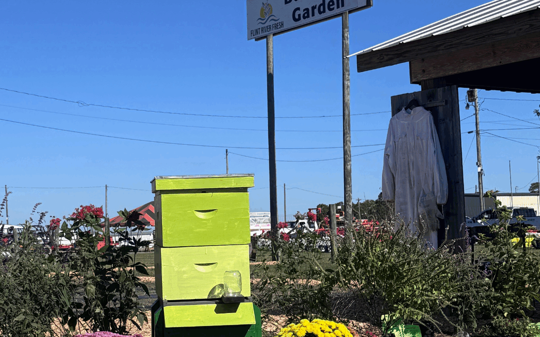 Fresh Ideas Take Root at the Sunbelt Ag Expo’s Backyard Garden