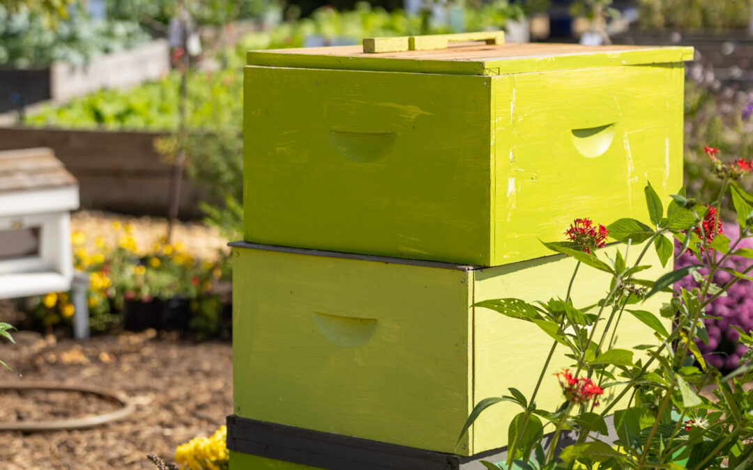 The Buzz About Backyard Gardens: Learn the Benefits of Gardening & Importance of Pollinators During the 2026 Sunbelt Ag Expo